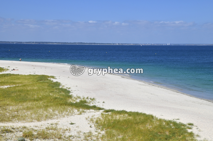 Plage inversée (Ile de Groix, Bretagne, France) - gryphea.org